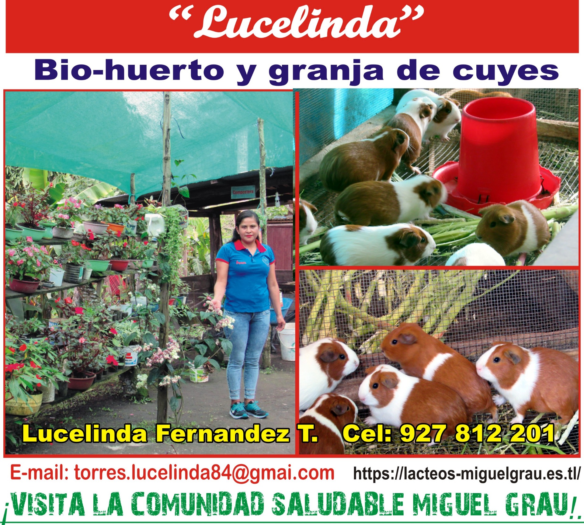 "Asoc. APAMIGRA" ***Clik en https://lacteos-miguelgrau.es.tl/***
